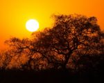 Mbombela / Krugerjev nacionalni park